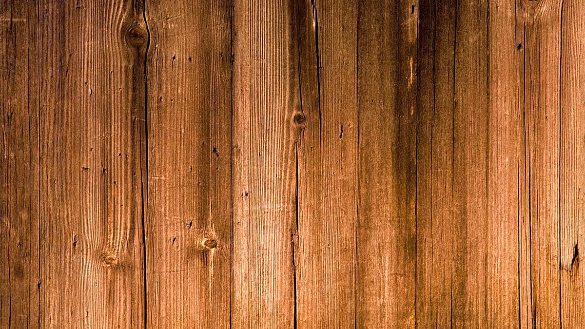 Wood Panel Texture